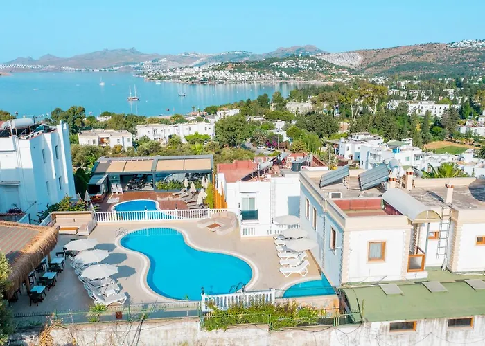 Отель Queen Boutique 2*